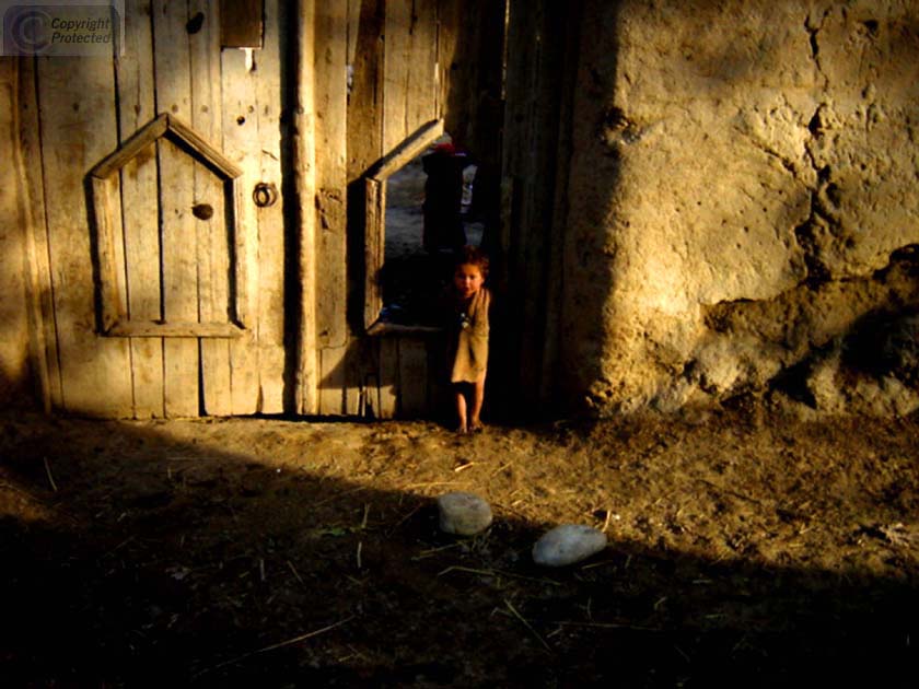 Little Kid in the Late Afternoon Light